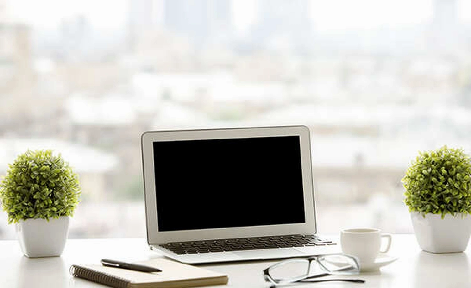 Desk plants boosting workplace productivity