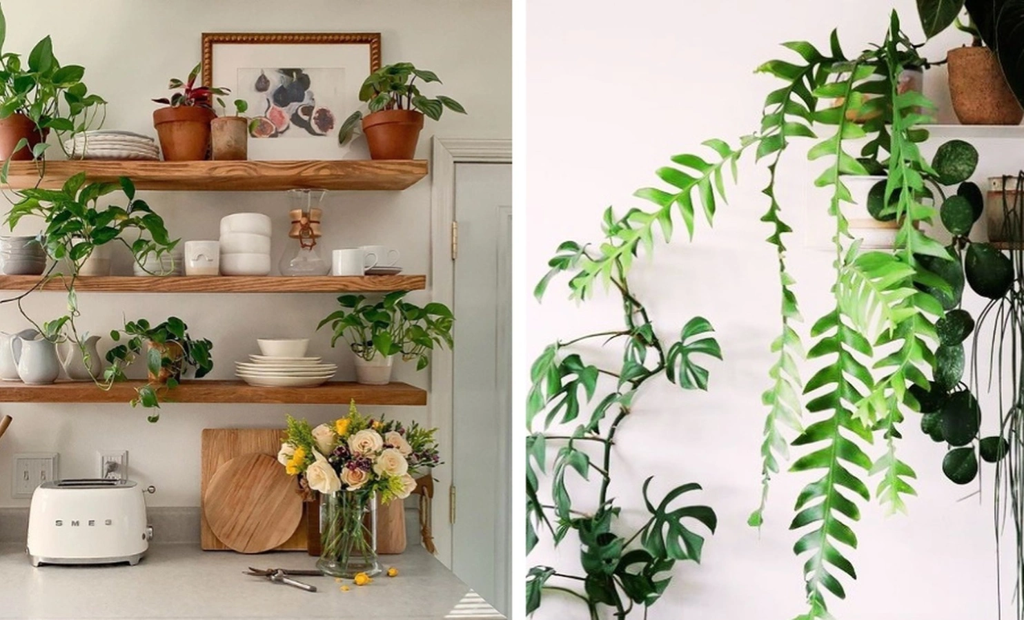 Indoor plants in home workspace setup